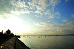 光影的詩(shī)篇 鏡頭下的郊外海邊晨光